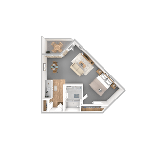 DSL_PSL_TRMT_Suite_Wren_518-563sqft_WEB
