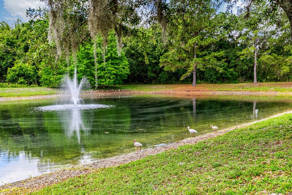 Fountain